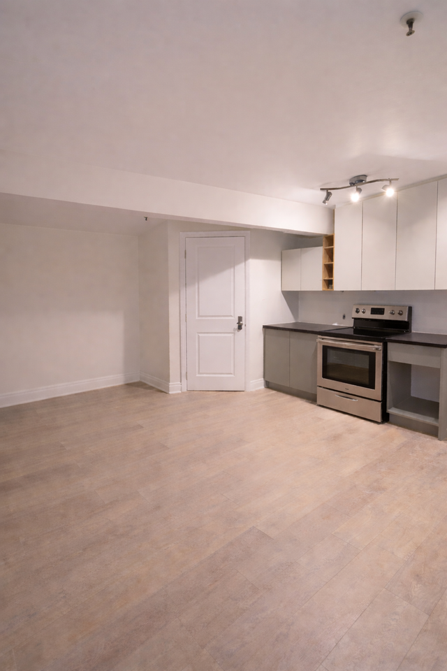 Superbes 1 1/2, RÉNOVÉ À NEUF, demi sous-sol Limoilou PROMO