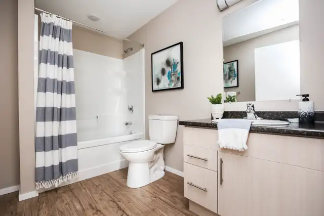 Pet-Friendly One Bedroom One Bath with In-suite Laundry for Rent in Long Term Rentals in Winnipeg - Image 11