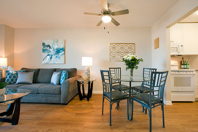 Great 2 Bedroom apartment for rent in Collingwood! MOVE-IN READY in Long Term Rentals in Barrie - Image 3