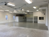 Commercial Space Retail / Warehouse 2600 SF Pitt Street