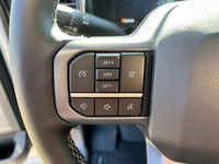 Welcome to Freedom Ford. **WE WILL BEAT ANY FORD DEALER IN THE CITY** The 2026 Ford Super Duty is a... (image 9)