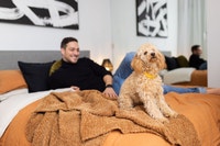 Up To 2 Months Rent Free Visit our Website: https://www.capreit.ca/apartments-for-rent/toronto-on/st... (image 6)