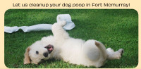 Dog Poop Cleanup and Yard Services in Fort Mcmurray