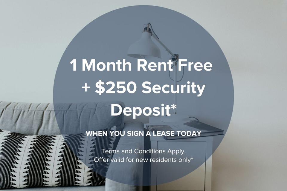 Bonaventure Estates - 1 Bedroom available at 9100 Bonaventure Dr in Long Term Rentals in Calgary