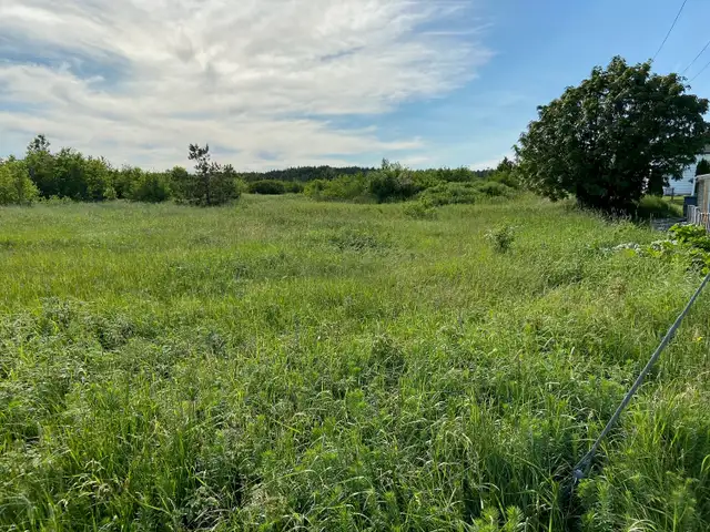 Land-310A Main St, Carmanville