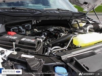 The Humberview Group: 5000 Vehicles. 20 Stores. 18 Brands. 1 Promise: Serving you better each and ev... (image 5)