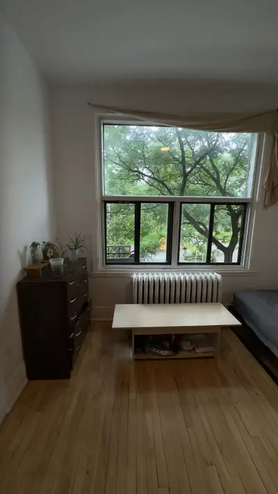 Grande chambre avec fenêtres donnant sur le parc, avenue Mont-Royal Est. Contient un garderobe walk-...