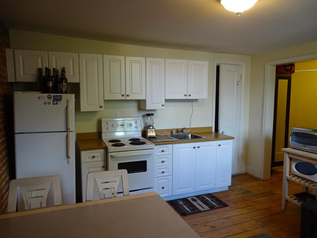 ONE BEDROOM, DOWNTOWN KINGSTON APARTMENT - 134-4 Earl St. in Long Term Rentals in Kingston - Image 4