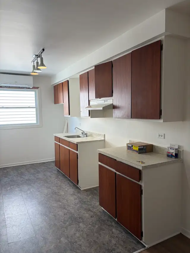 Beau très grand 5 1/2 1er étage Lévis Frais peint ! PROMO in Long Term Rentals in Québec City - Image 3