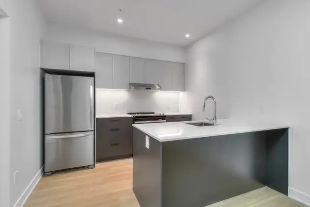 4.5 condo appartement neuf locatif Ville-Marie-Jacques in Long Term Rentals in City of Montréal - Image 3