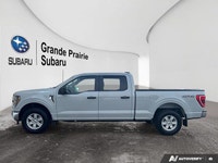 2023 Ford F-150 Crew Cab Pickup XL - Vehicle for Sale 2023 Ford F-150 Crew Cab Pickup XL Ready to ta... (image 1)