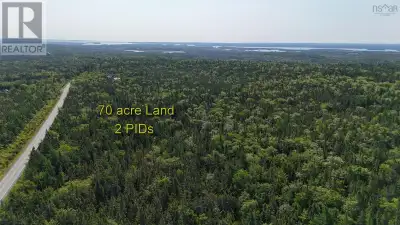 Big acreage, long road frontage, great location, and a fair price - all in one! This 70-acre propert...