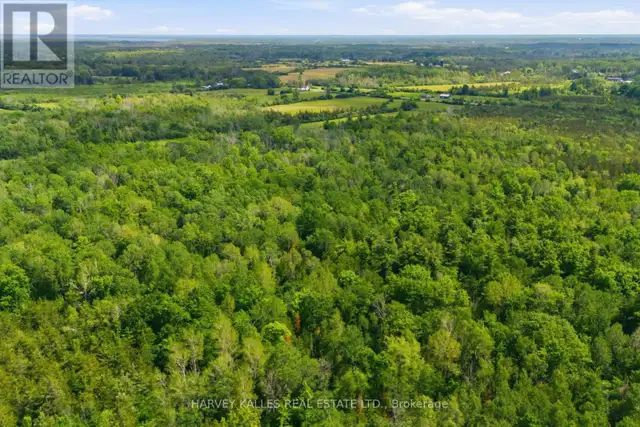 685 COUNTY 8 ROAD Prince Edward County (Hallowell), Ontario in Land for Sale in Belleville - Image 7