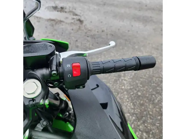 2025 Kawasaki Ninja 500 SE KRT Edition in Street, Cruisers & Choppers in Brantford - Image 15