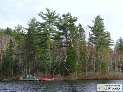 405 pi de rivage au bord du lac Beaudouin. Eau limpide. Vue sur le lac, grands pins, très calme, pas...