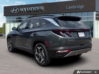Seamlessly blend eco-consciousness with sophisticated design in this 2023 Hyundai Tucson Hybrid Luxu... (image 2)