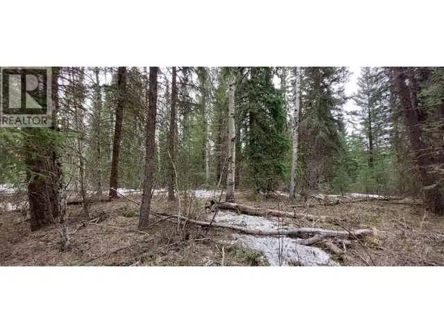 LOT B BRYCE ROAD Forest Grove, British Columbia in Land for Sale in 100 Mile House - Image 2
