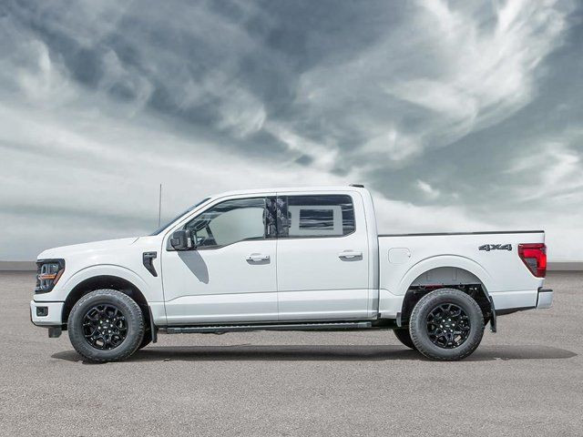 2025 Ford F-150 XLT in Cars & Trucks in Winnipeg - Image 3