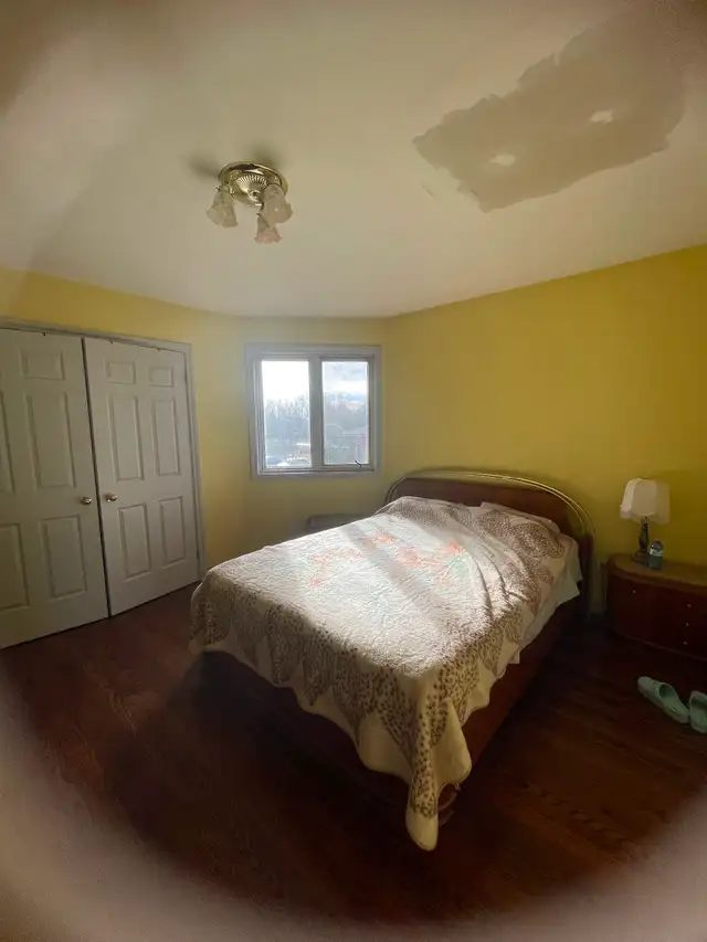Room for rent in  large Italian home at Yonge & Finch