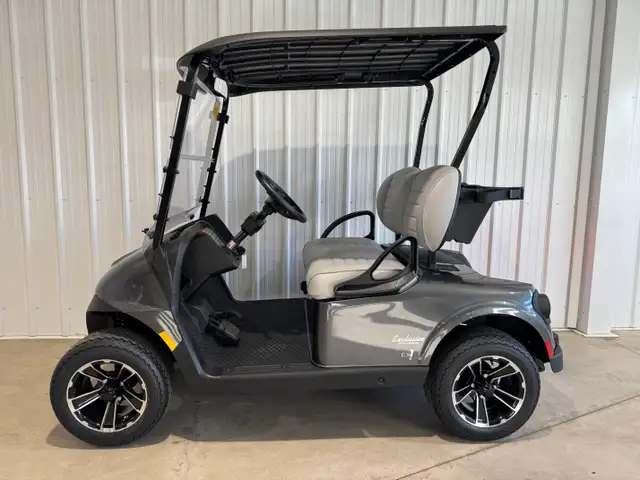 2026 EZGO RXV 2 FREEDOM in ATVs in Vernon - Image 10