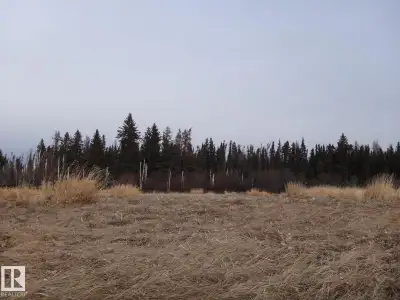 this 10 Ac. parcel is located just west of wildwood, Whether you envision a summer cabin, your dream...