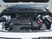 Embrace every journey with the highly versatile 2024 Toyota RAV4 XLE, engineered for practicality an... (image 7)