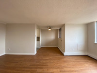 SPACIOUS TWO BEDROOM APARTMENT FOR RENT IN PETERBOROUGH! SURROUNDED BY PARKS AND CLOSE TO LITTLE LAK... (image 6)