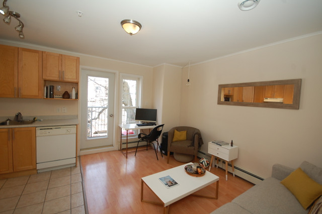 1 Bedroom Downtown Halifax for July in Long Term Rentals in City of Halifax