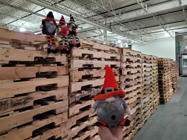 TORONTO pallet storage WHSE SELL to public NO PROB bring caSH! in Other in Mississauga / Peel Region - Image 7