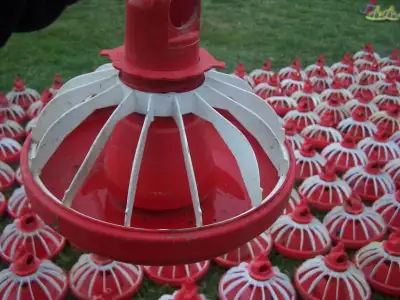 This single feeder can keep up to 25 chickens happily fed! It's made from durable and tough plastic,...