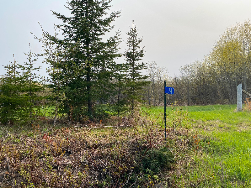 Listing is HOT!!!! Two acres on 24 West Jarvis Bay Rd. Land for Sale