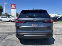 Embrace every journey with this 2025 Honda CR-V Sport. Dressed in dynamic Meteoroid Grey Metallic, t... (image 5)