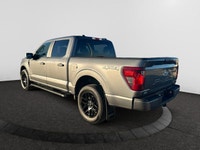 For more than thirty years, the Ford F-150 has been one of the best selling cars in the U.S. It’s a... (image 2)
