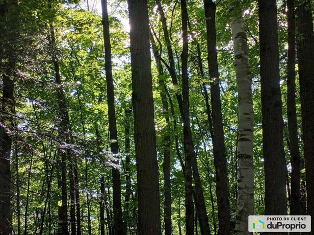 149 000$ - Terrain résidentiel à vendre à Rawdon dans Terrains à vendre  à Lanaudière