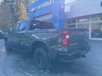 AMVIC Licensed Dealer The 2026 Chevrolet Silverado 1500 Custom Trail Boss 4WD is built for drivers w... (image 5)