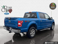 - CLOTH SEATS - 2.7L ECOBOOST ENGINE - CHROME RUNNING BOARDS - PRE-COLLISION ASSIST - BACK UP CAMERA... (image 5)