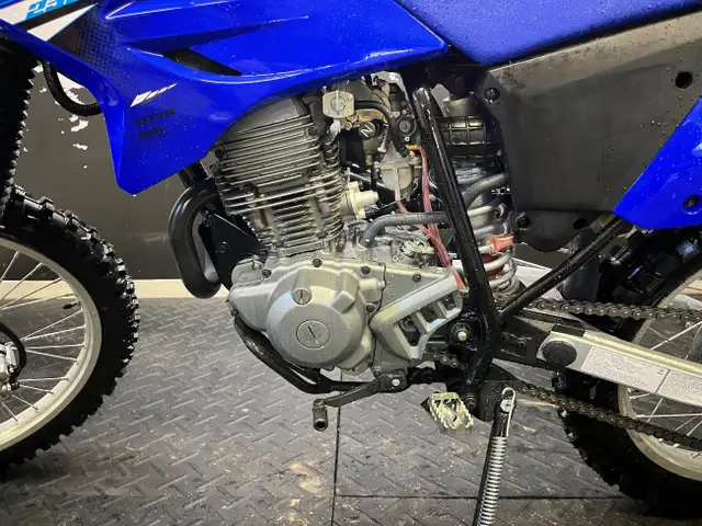 2025 Yamaha TTR-230 in Other in Lac-Saint-Jean - Image 11