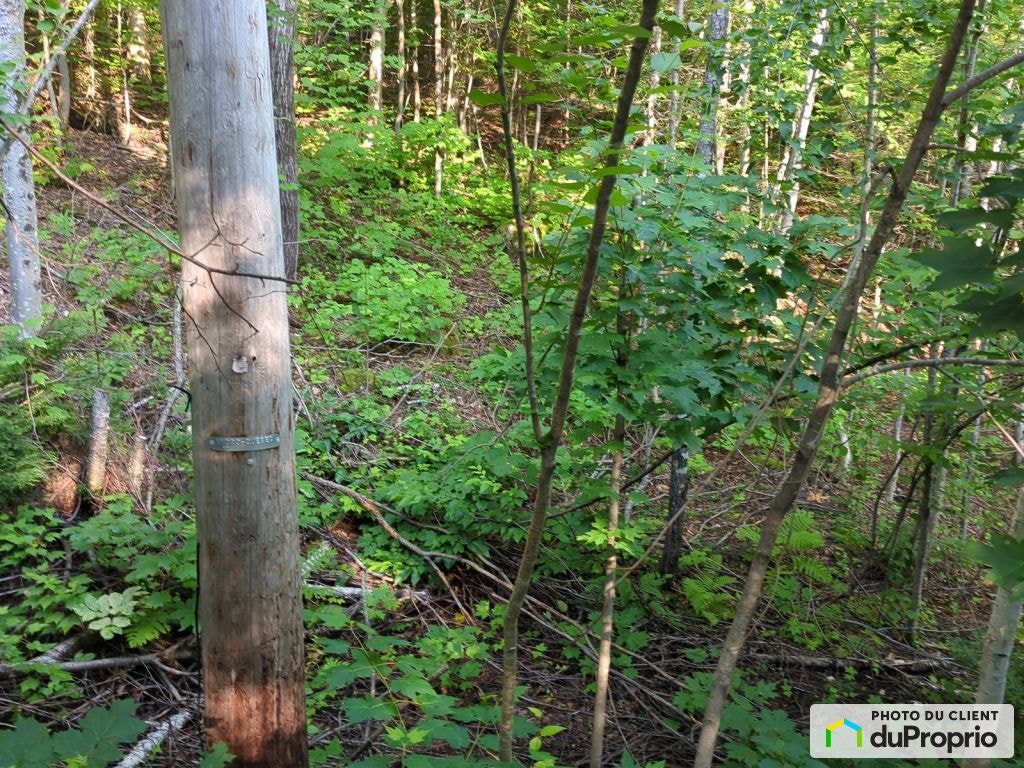 $50,000 - Residential Lot for sale in St-Didace — photo 1