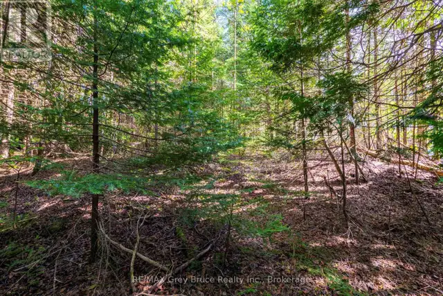 UNIT 6 STOKES BAY ROAD Northern Bruce Peninsula, Ontario in Land for Sale in Owen Sound - Image 19