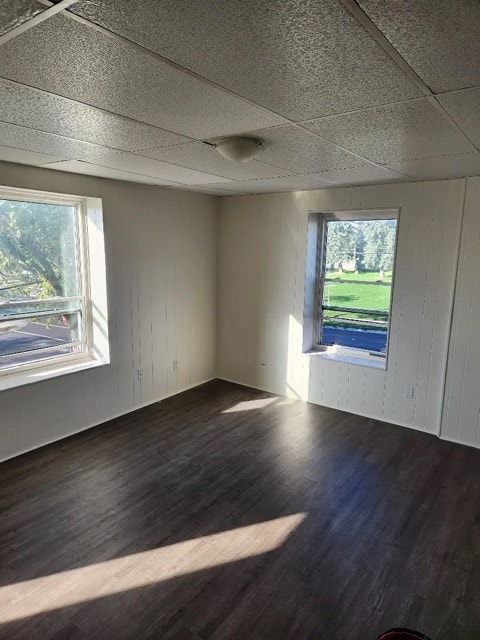 One Bedroom Apartment - Near Downtown Peterborough - December 1 5