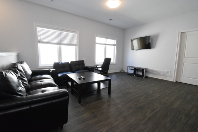 Large One Bedroom Room with Ensuite in Thorold in Long Term Rentals in St. Catharines - Image 3