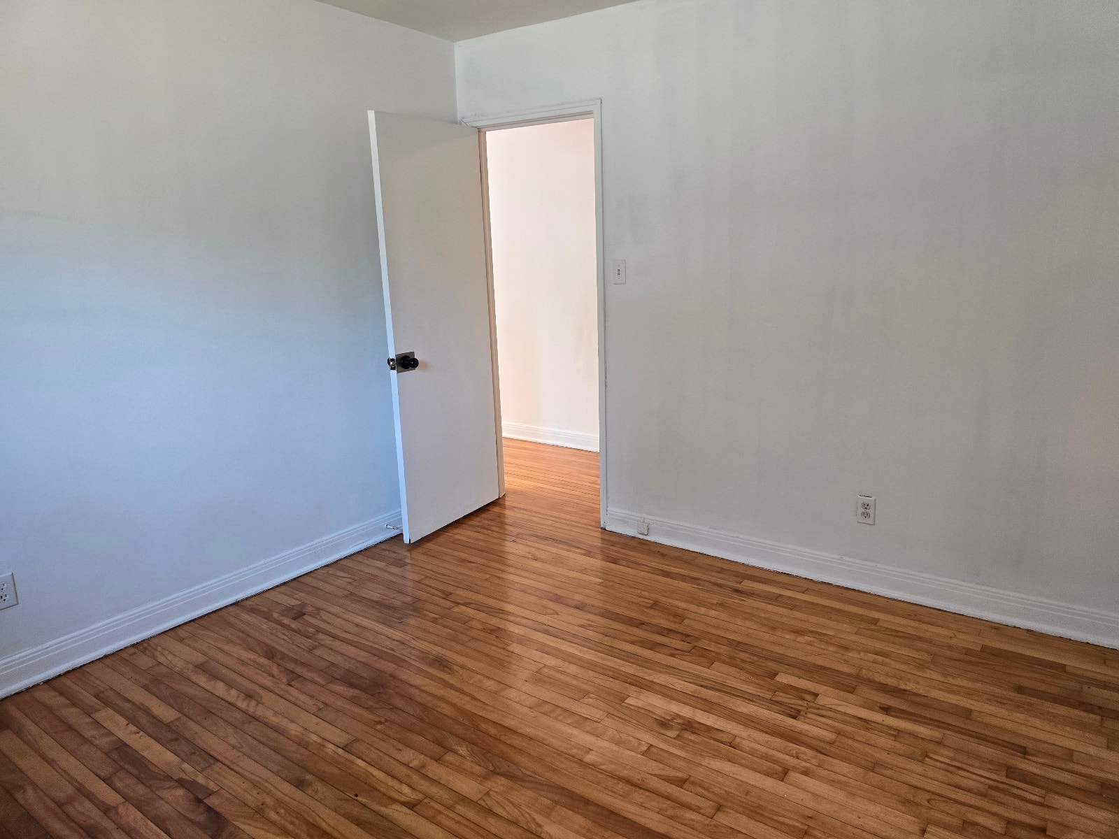Grand 3 1/2 Mercier lumineux ( mois de juillet gratuit) — photo 1