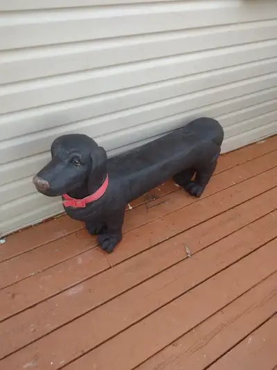 5' bench of Dog, View more