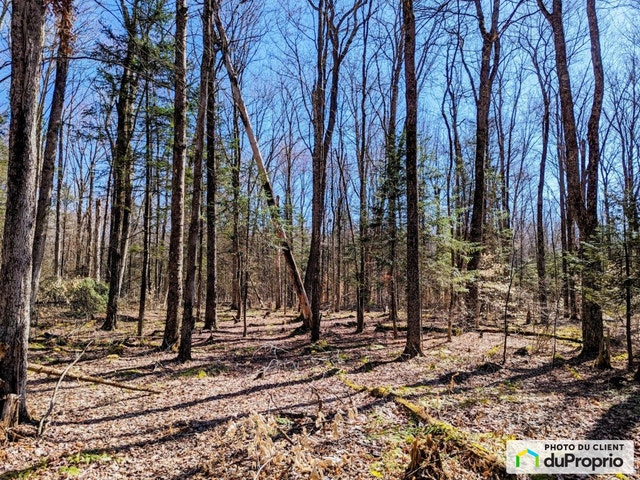$175,000 - Residential Lot for sale in Potton — photo 3