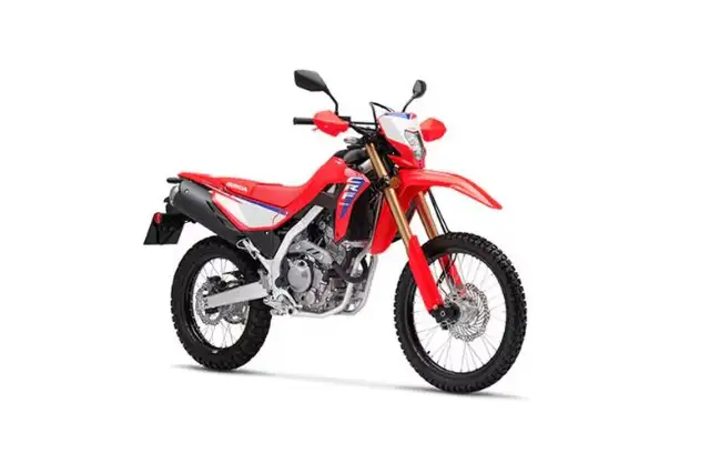 2025 HONDA CRF300L ABS in Sport Touring in Laval / North Shore - Image 4