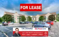 MODERN & STUNNING UPDATED CONDO FOR LEASE/RENT IN KITCHENER!