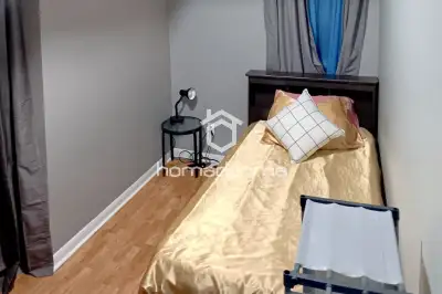Host looks to get in-school student North York (HS112632)