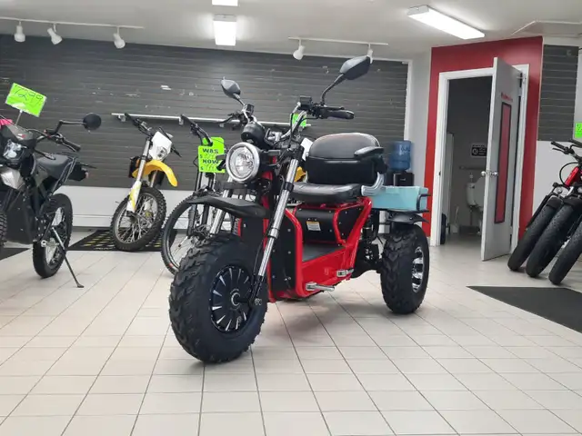 9999 Daymak Boomer Beast 2D in ATVs in Bridgewater - Image 2