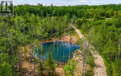 Build your rural retreat or getaway chalet amongst gentle nature, mature cedar and wild apple trees....