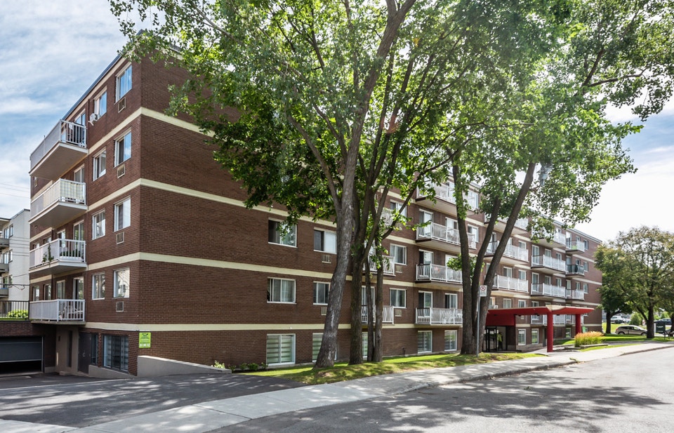 YORKVILLE GOLD 1 2